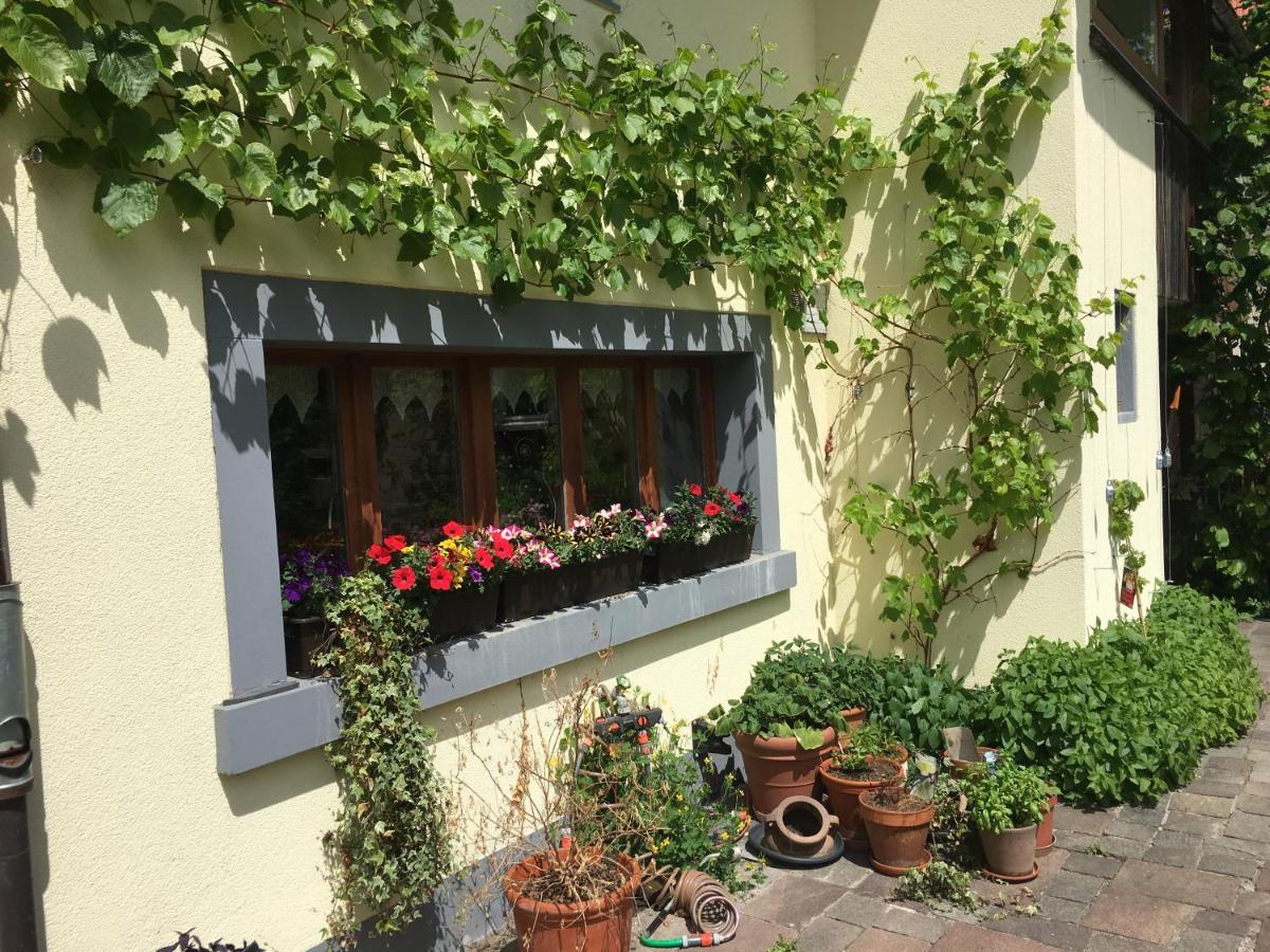 Ferienhaus Mit Naturgarten Dachsen Eksteriør billede