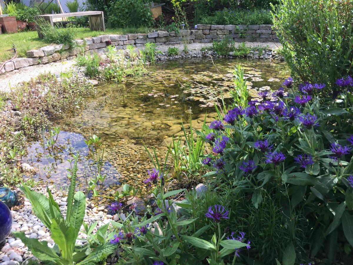 Ferienhaus Mit Naturgarten Dachsen Eksteriør billede