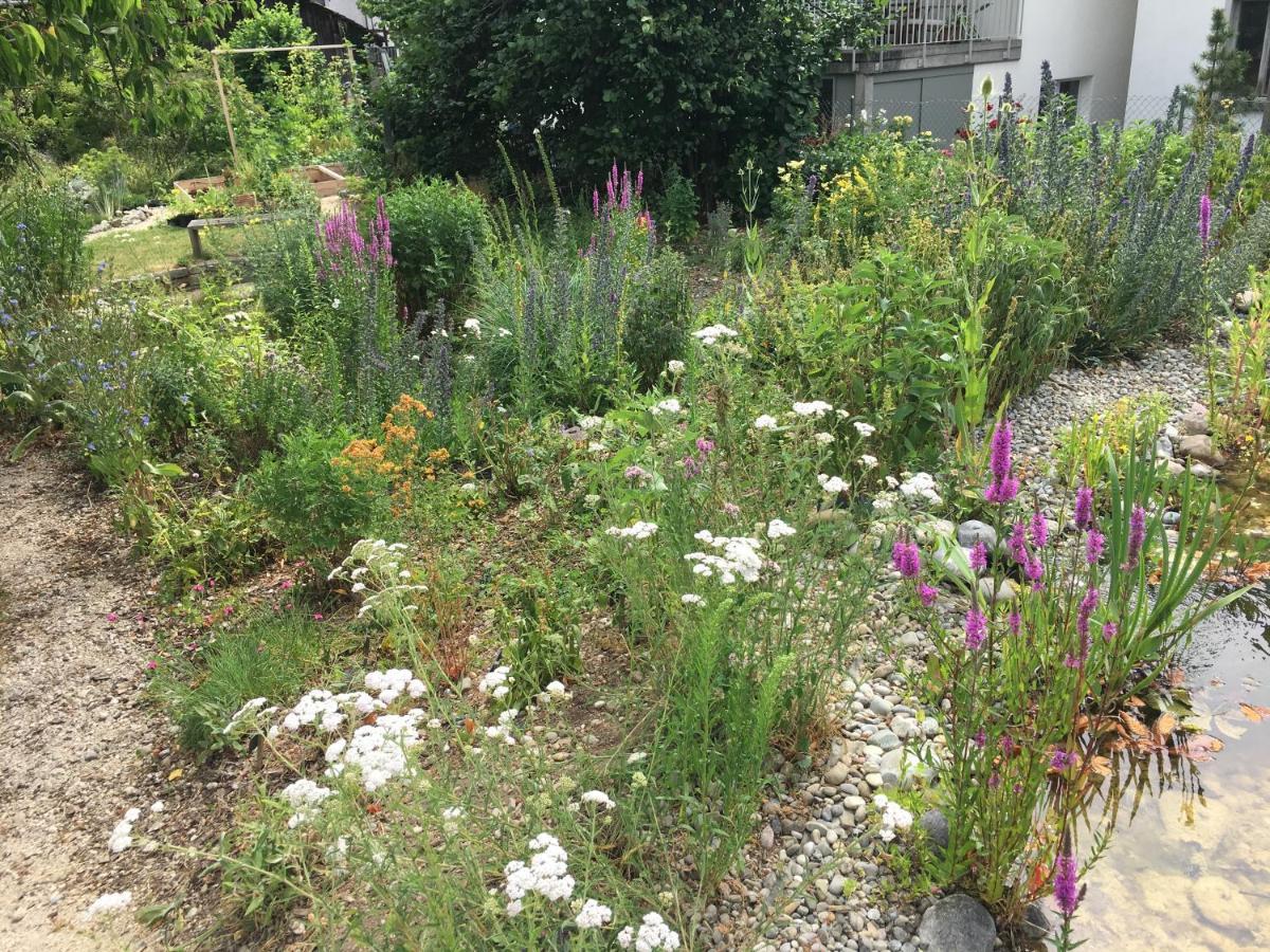 Ferienhaus Mit Naturgarten Dachsen Eksteriør billede