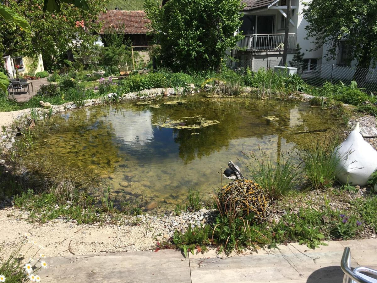 Ferienhaus Mit Naturgarten Dachsen Eksteriør billede