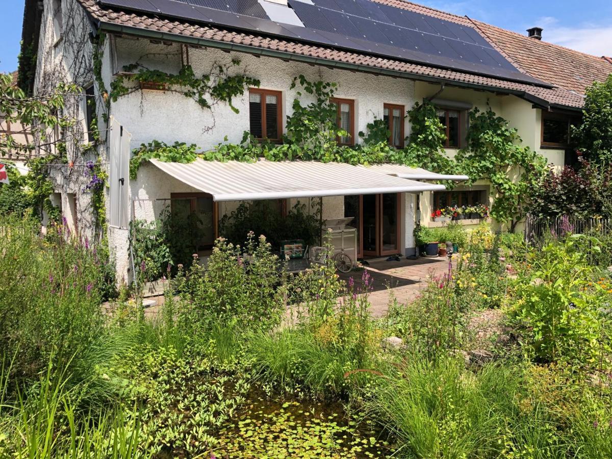 Ferienhaus Mit Naturgarten Dachsen Eksteriør billede